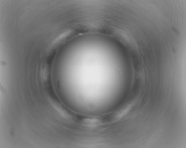 X0000090950133200708021344
