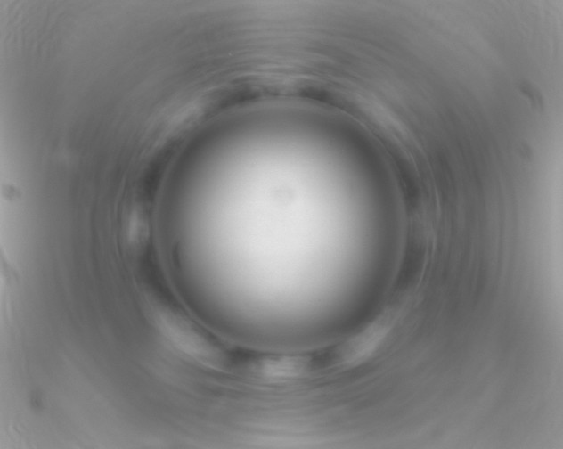 X0000090950134200708021344