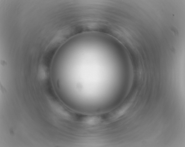 X0000090950135200708021344