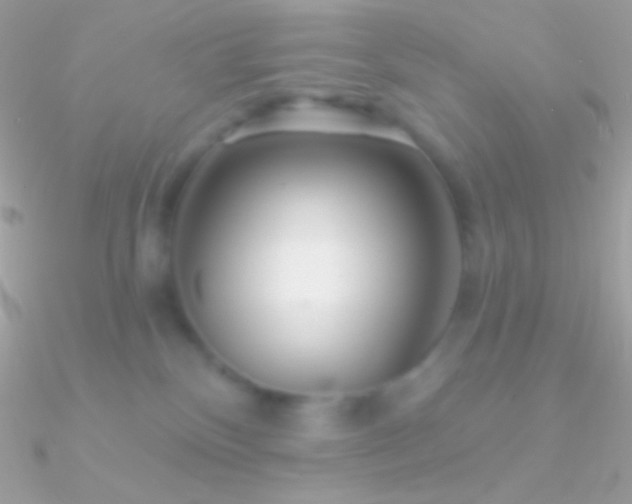 X0000090950136200708021344
