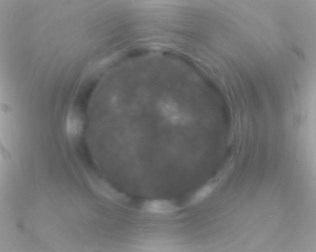 X0000090950137200708021344