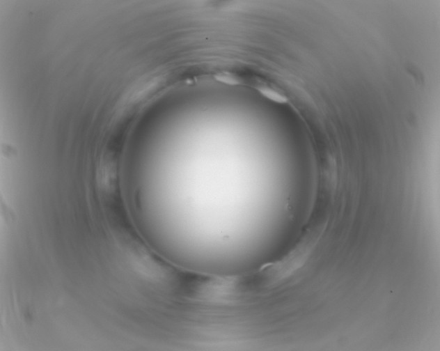 X0000090950138200708021344