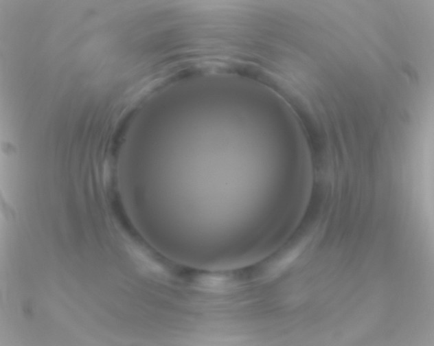 X0000090950139200708021344