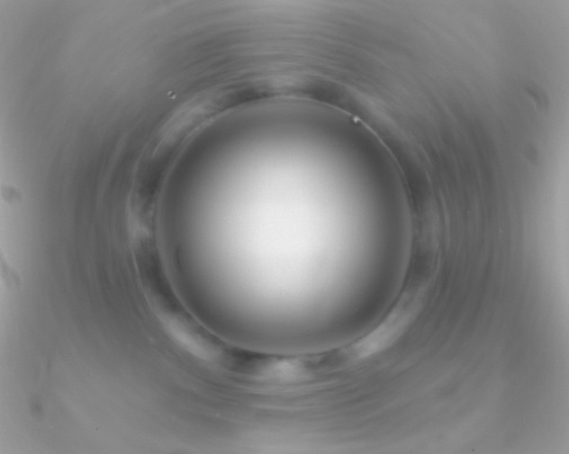 X0000090950140200708021344