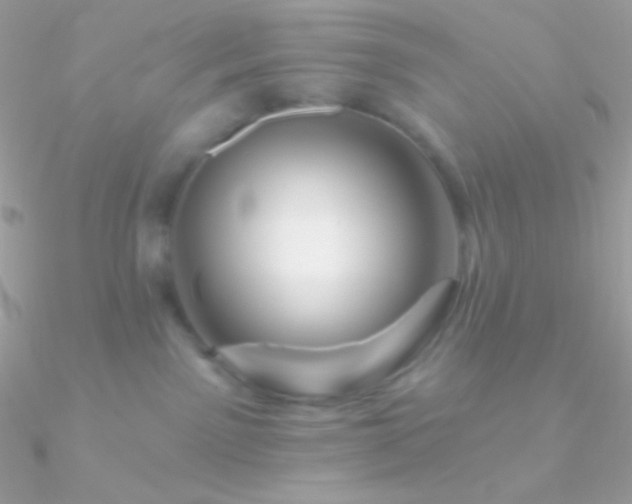 X0000090950141200708021344