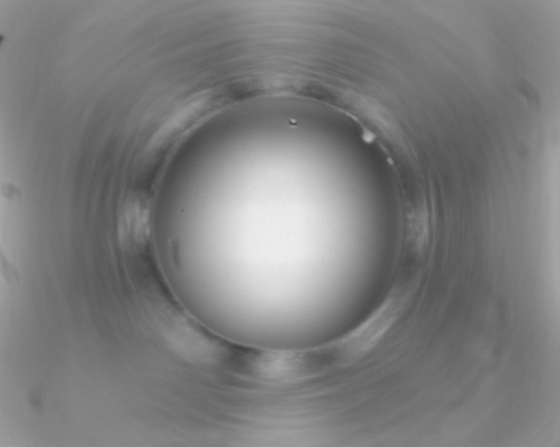 X0000090950142200708021344