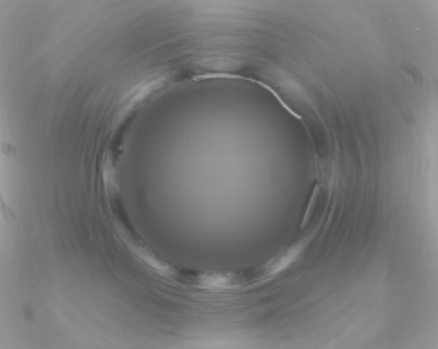 X0000090950143200708021344
