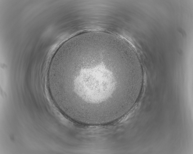 X0000090950145200708021343