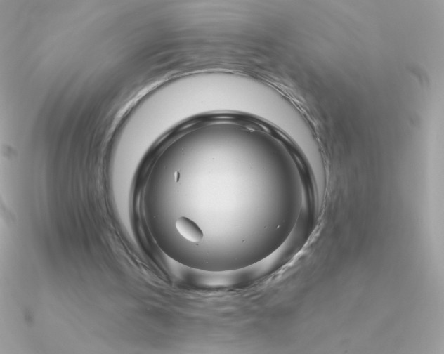 X0000090950146200708021343