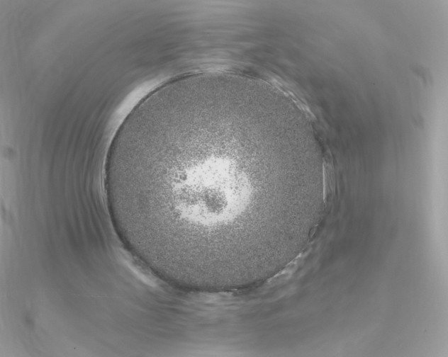 X0000090950147200708021343