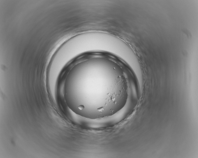 X0000090950148200708021343
