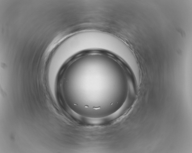 X0000090950150200708021343