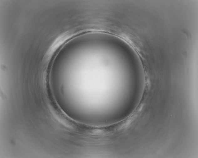 X0000090950151200708021343