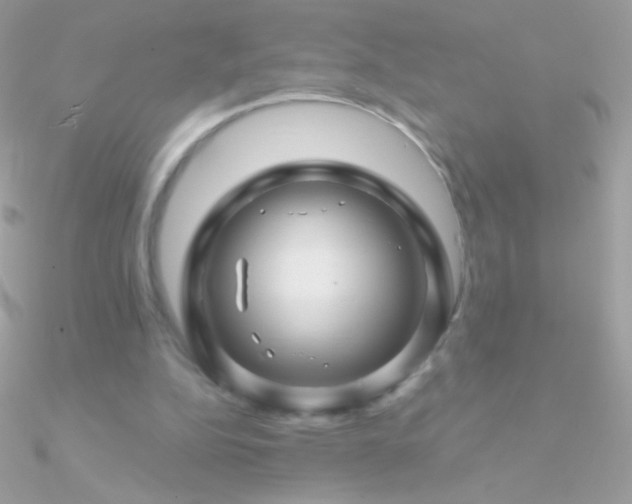X0000090950152200708021343