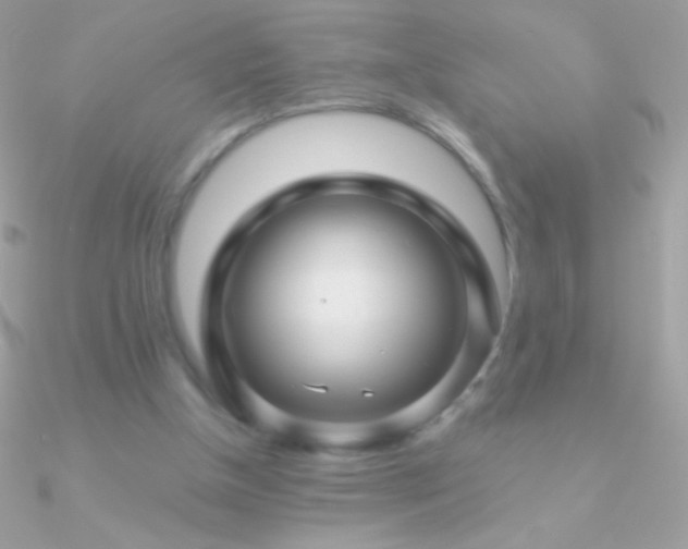 X0000090950154200708021343