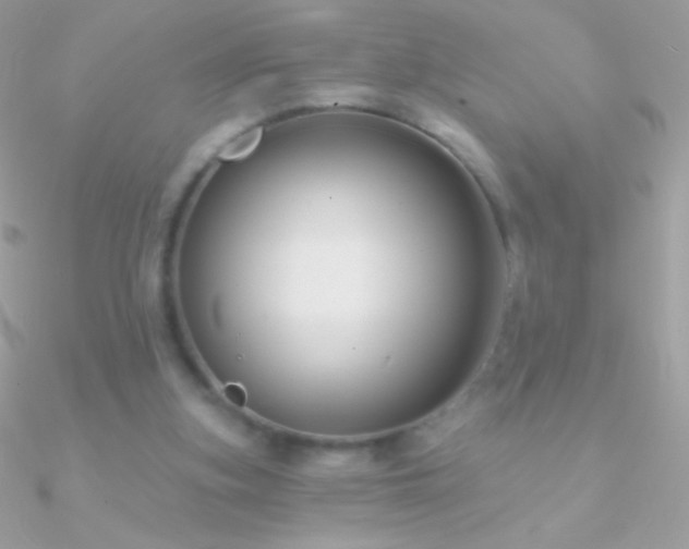 X0000090950155200708021343