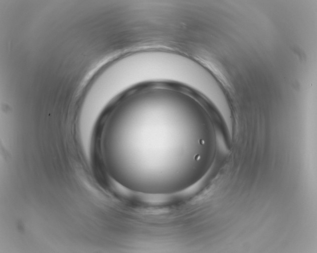 X0000090950156200708021343