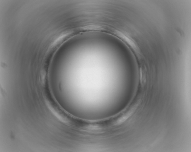 X0000090950157200708021343