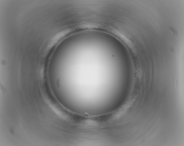 X0000090950159200708021343