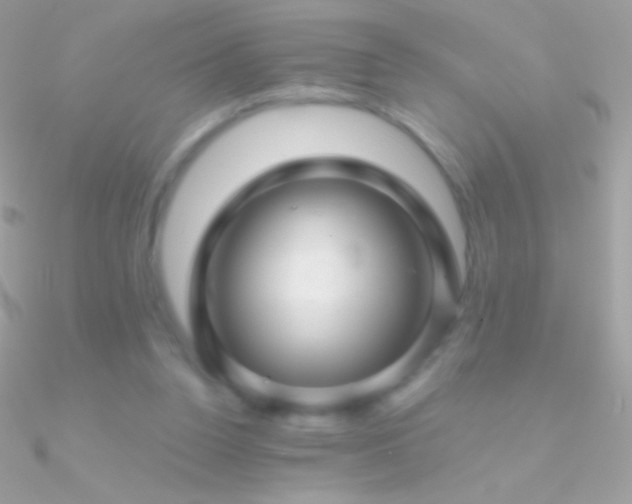X0000090950160200708021343