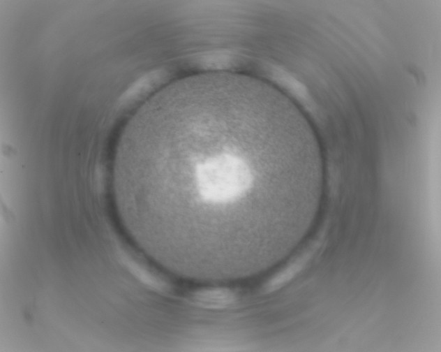 X0000090950161200708021343