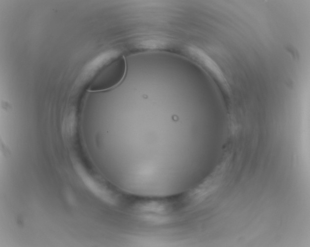 X0000090950163200708021343