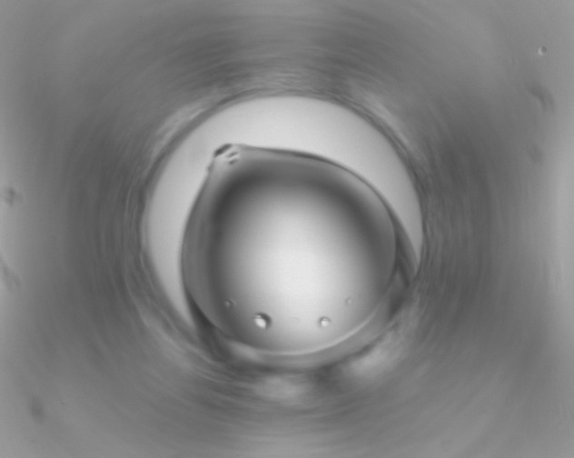X0000090950164200708021343