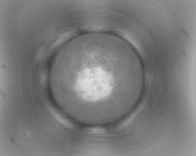 X0000090950165200708021343