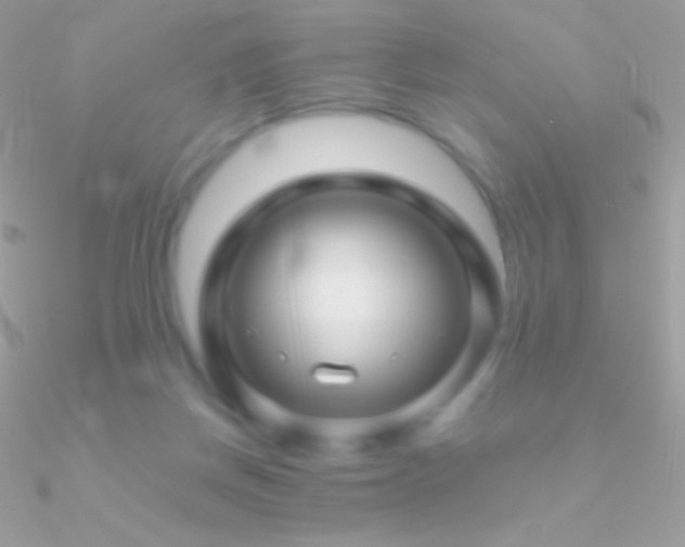 X0000090950166200708021343