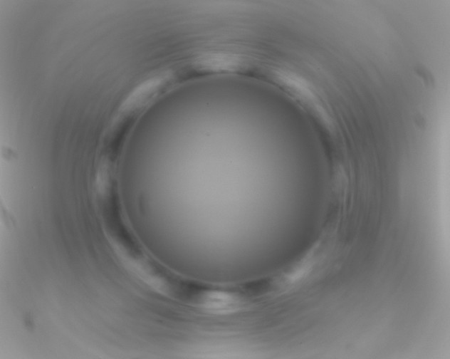 X0000090950167200708021344