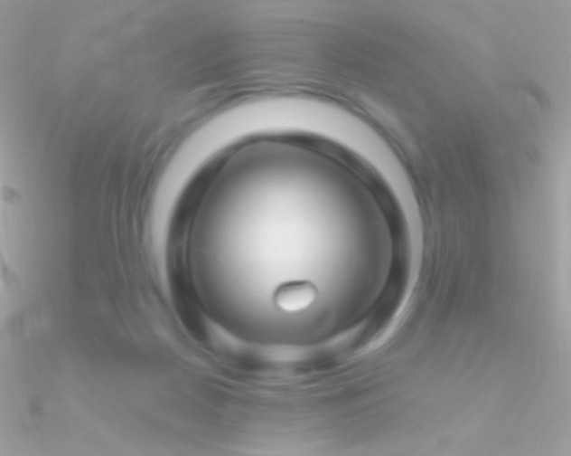X0000090950170200708021344