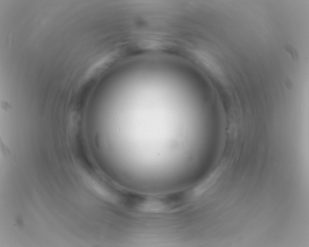 X0000090950171200708021344