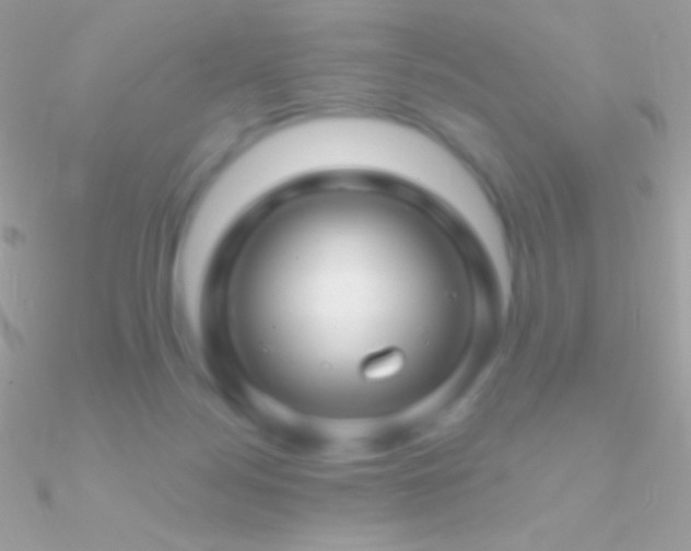 X0000090950172200708021344