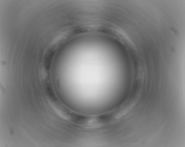 X0000090950173200708021344