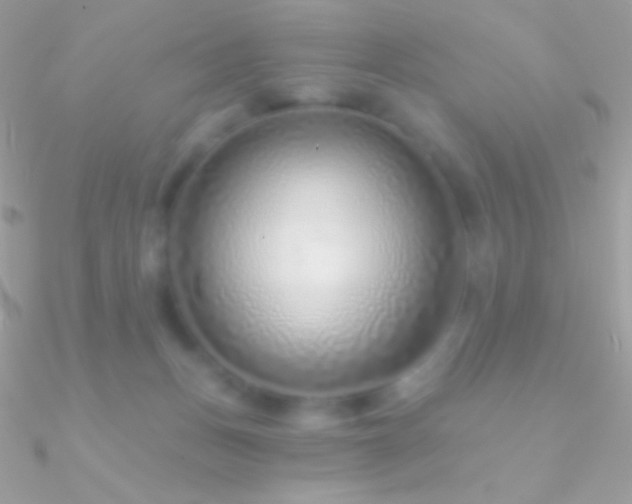 X0000090950175200708021344