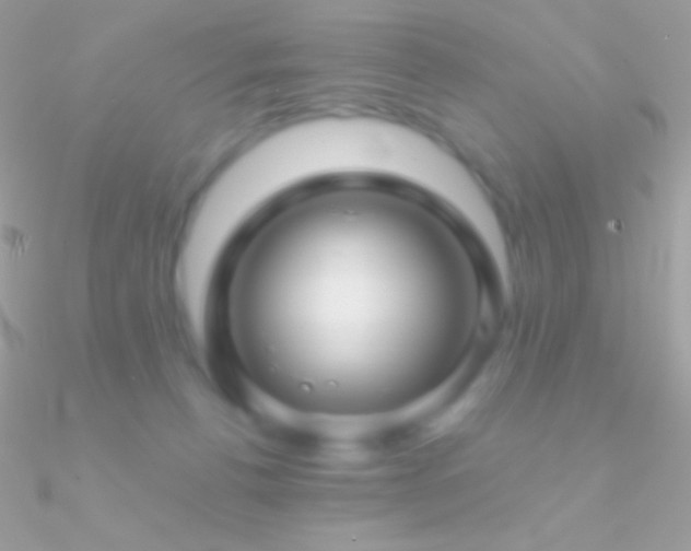 X0000090950176200708021344