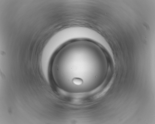X0000090950178200708021344