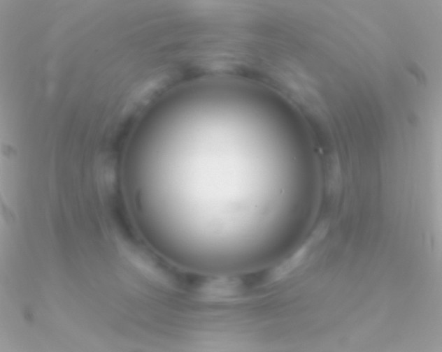 X0000090950179200708021344