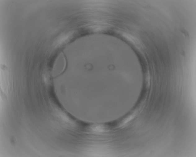 X0000090950181200708021344