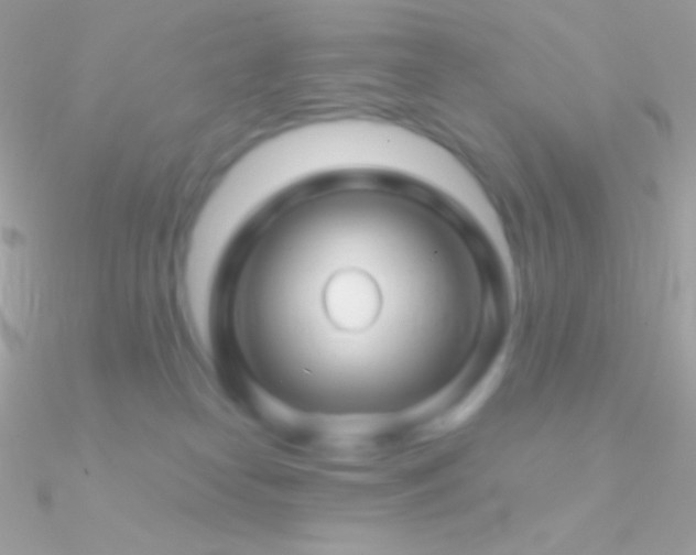 X0000090950182200708021344