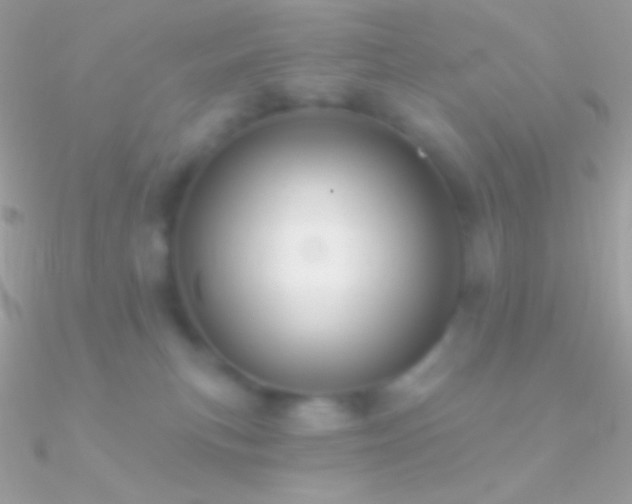 X0000090950183200708021344