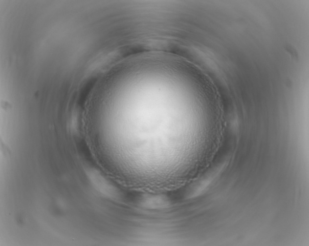 X0000090950185200708021344