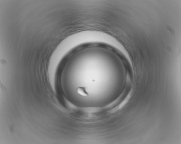 X0000090950186200708021344