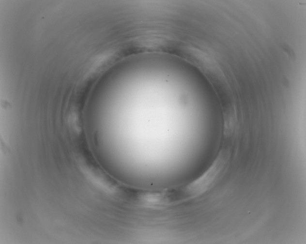 X0000090950187200708021344