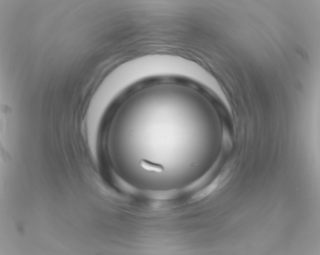 X0000090950188200708021344