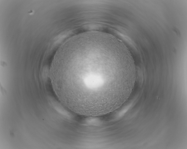 X0000090950189200708021344