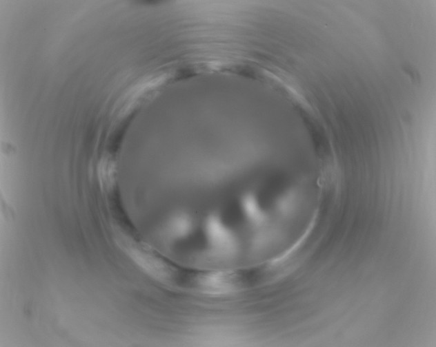 X0000090950191200708021344