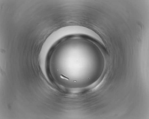X0000090950192200708021344