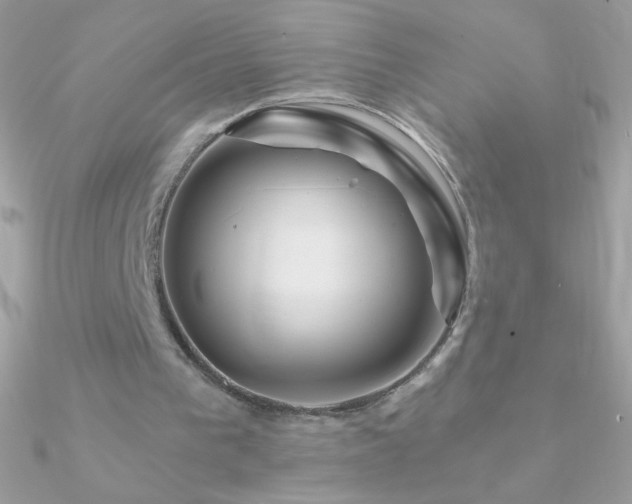 X0000090950193200708021343