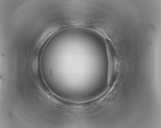 X0000090950194200708021343